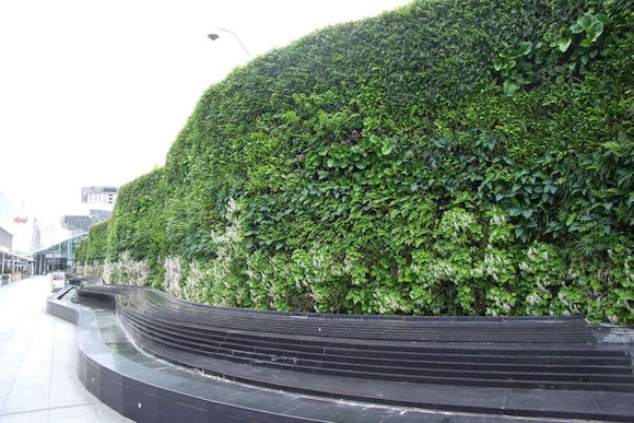 First major Living Wall project
