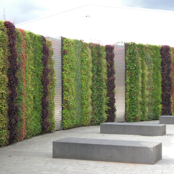 How living walls support the principles of a circular economy