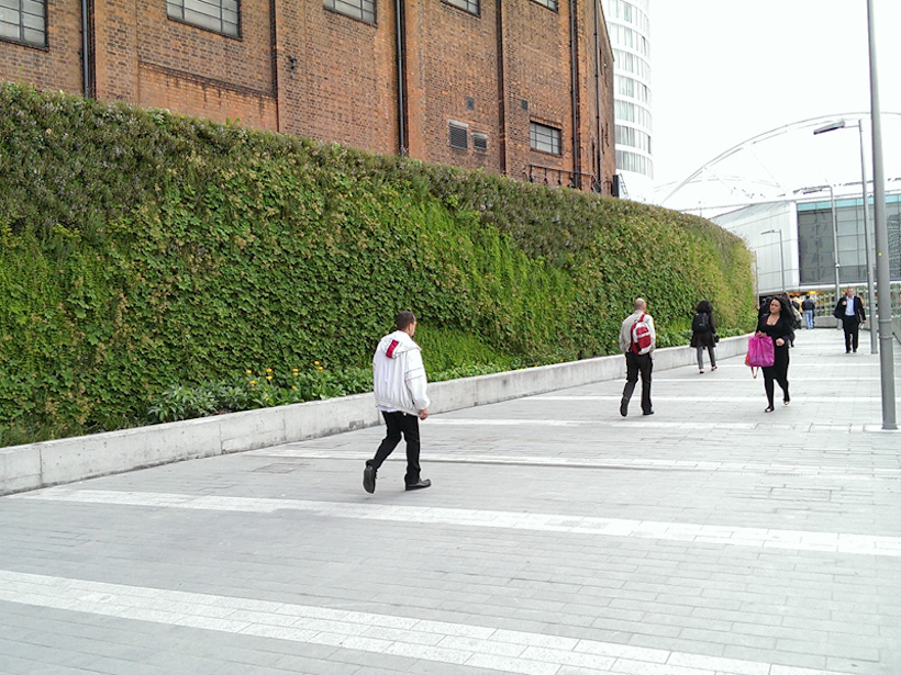 This permanent living wall installation at Birmingham New Street station sees very high footfall and provides a healthy backdrop for travellers.
