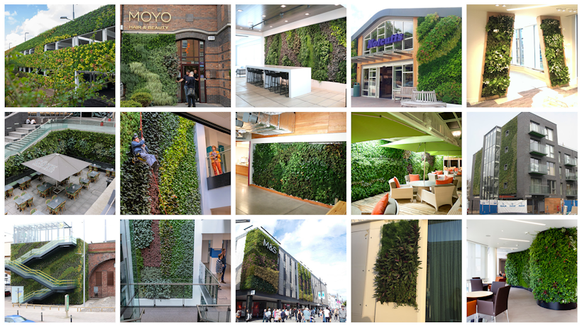 Over 150 living wall case studies
