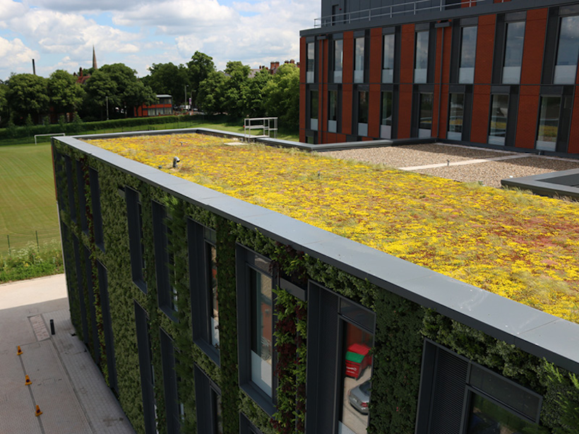 A green roof and living wall can be used together to maximise the buildings sustainability.
