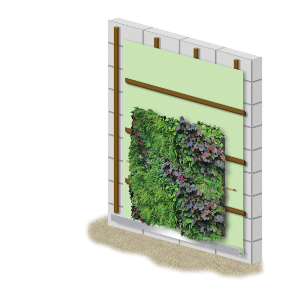 Vertical Gardens – your ‘how to’ guide