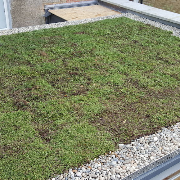 Green roof maintenance