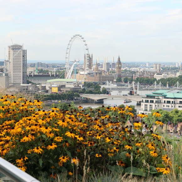 Could UGF (Urban Greening Factor) be London's Path to a Greener Future?
