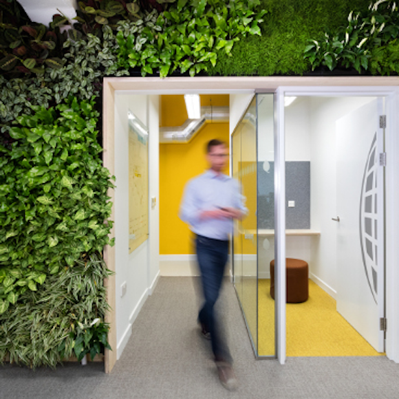 10 Ways Your Office Can Reduce Its Carbon Footprint