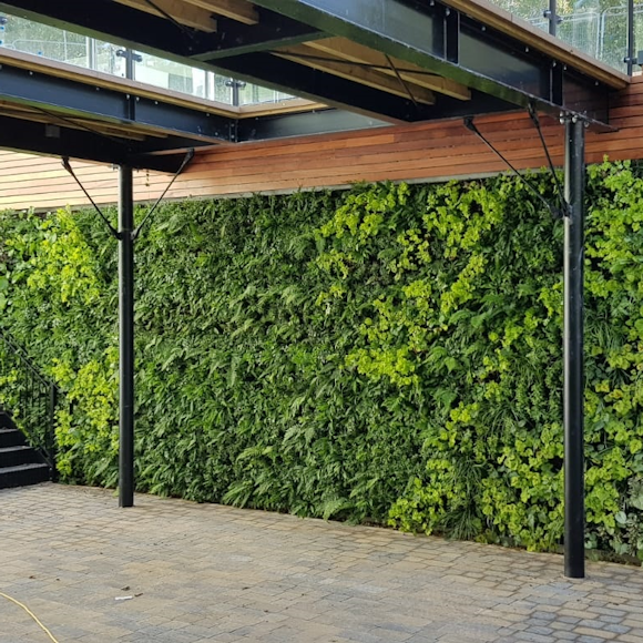 The Principles and Benefits of Biophilic Design