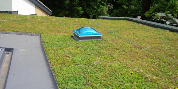 What Constitutes an Eco Green Roof?
