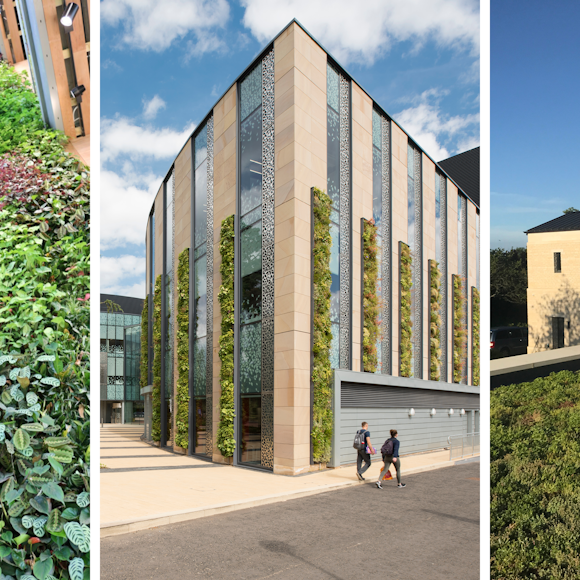 CPD & Workshop Event: Living Walls & Roofs
