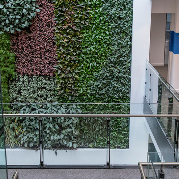 What Are the Benefits of Indoor Living Wall and Green Wall Systems?