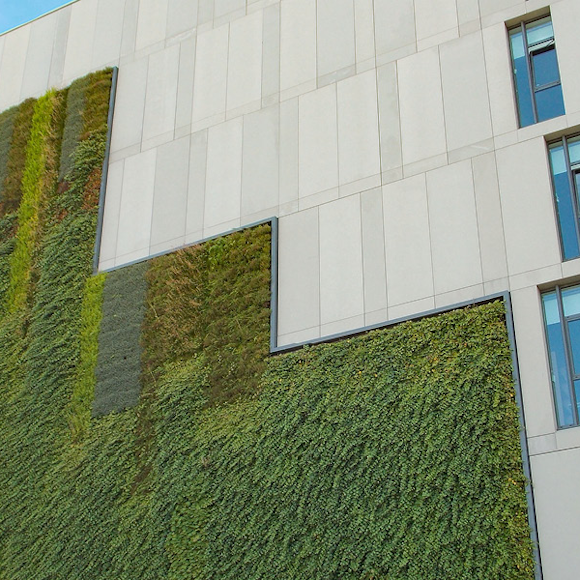Fire safety for living walls as a rain screen cladding system