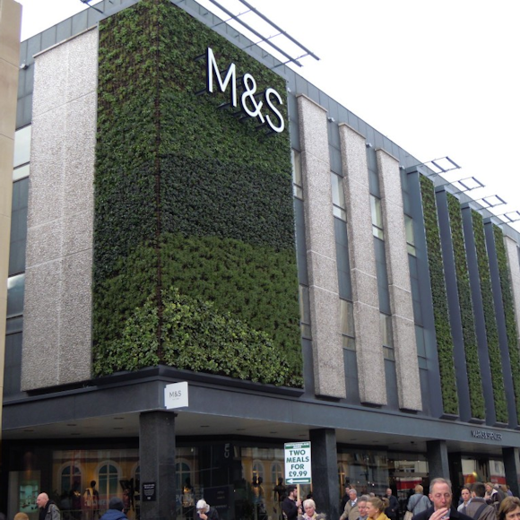 Supporting Marks and Spencer with a living wall installation