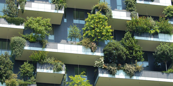 The Importance of Urban Greening