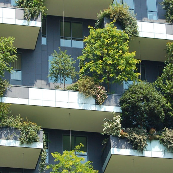 The Importance of Urban Greening