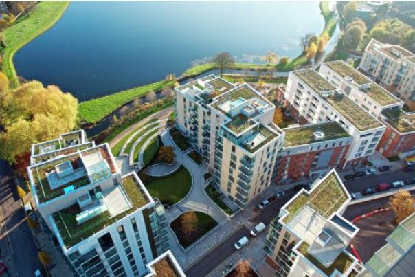 London 2019 Living Roofs and Walls Report