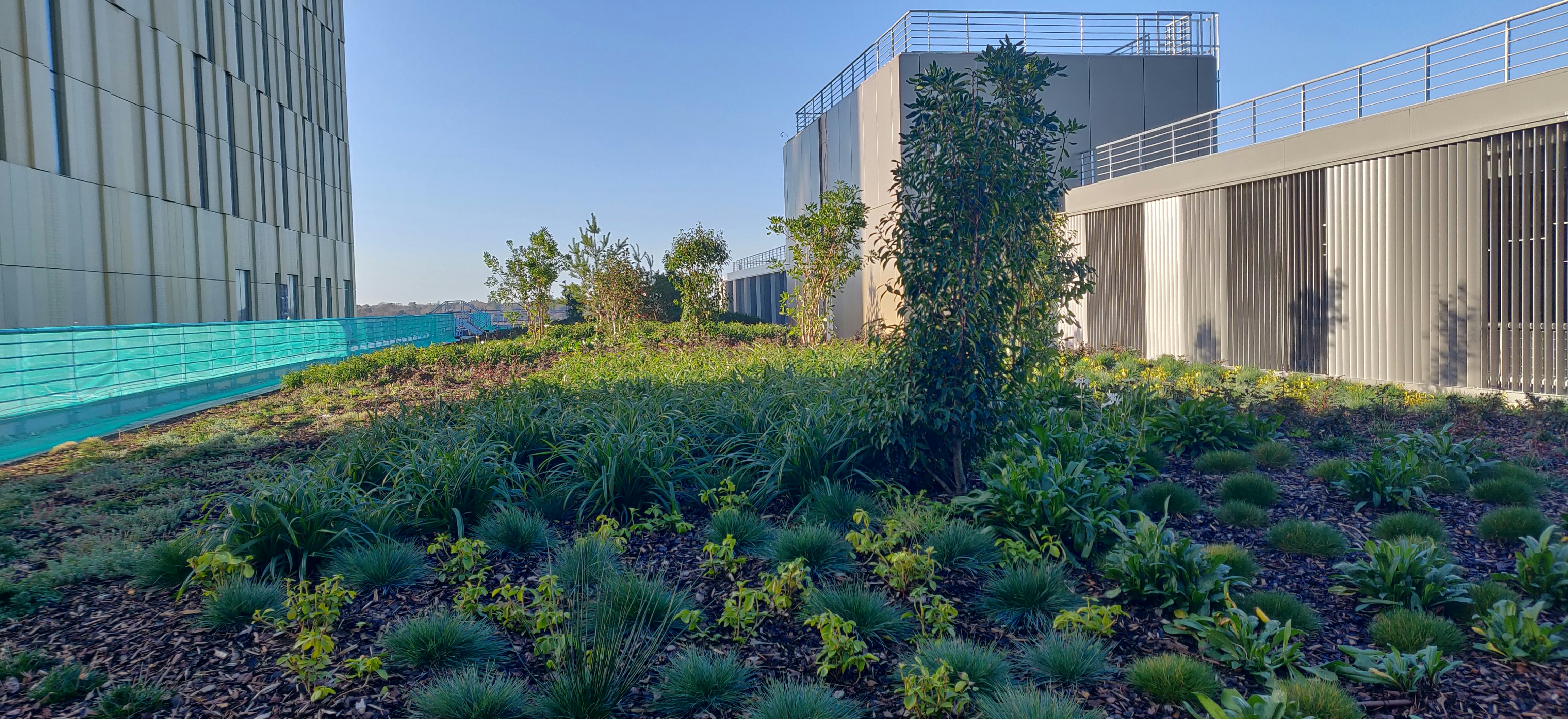 extensive-green-roof-victoria-way
