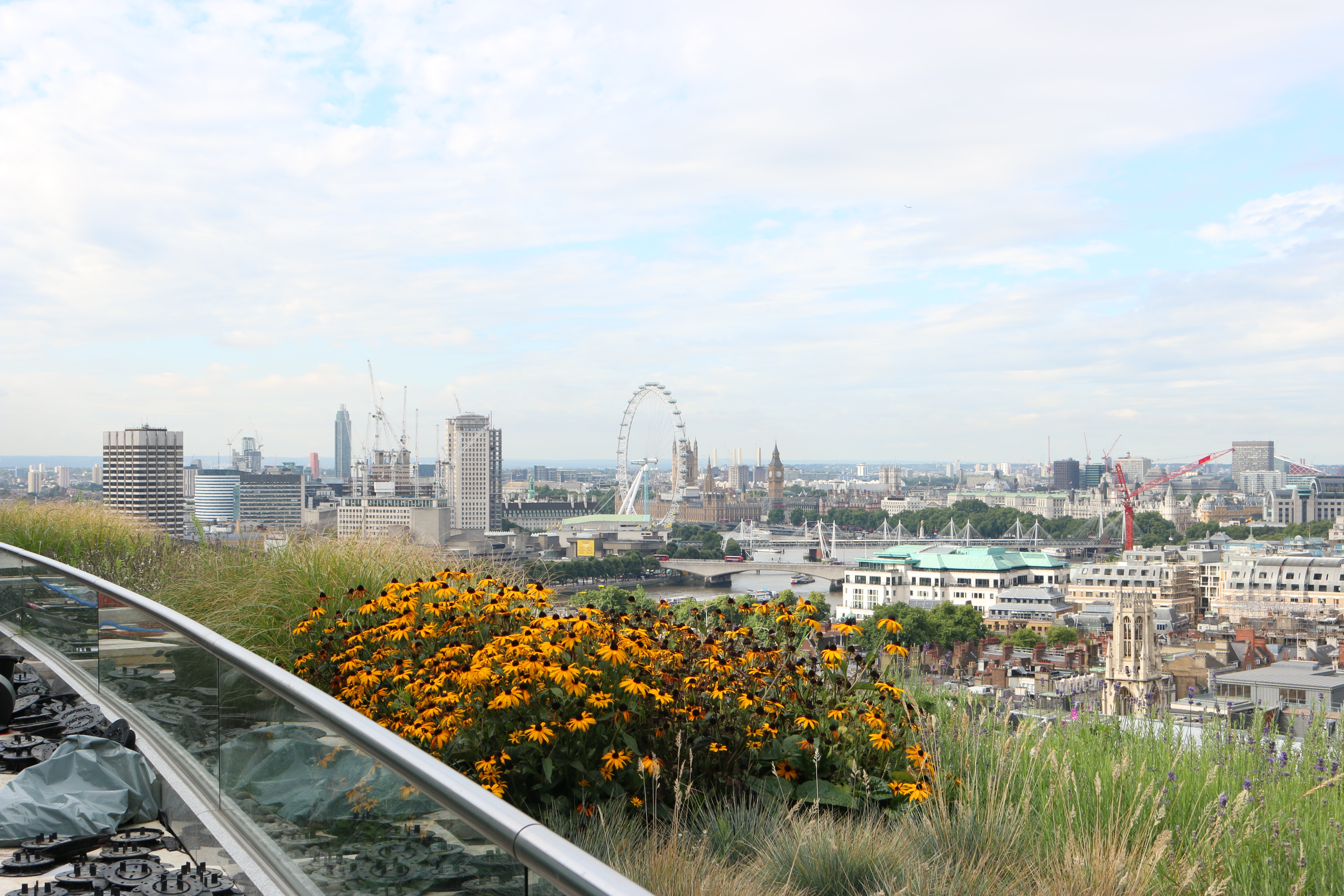semi intensive green roof new street