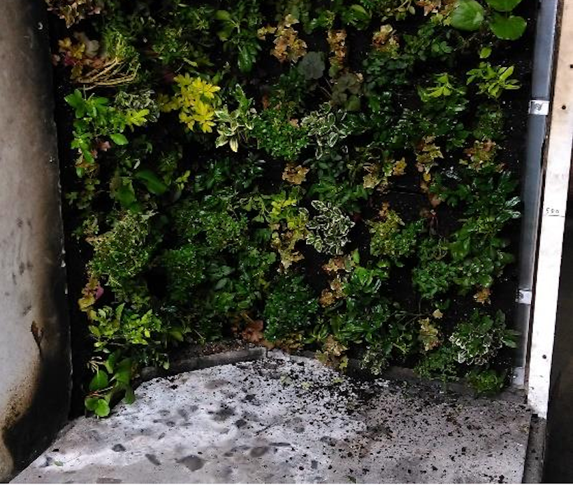 living wall before fire testing