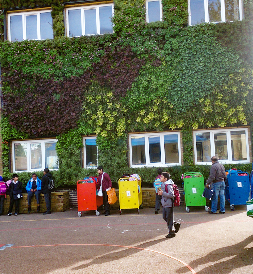 living wall in primary school