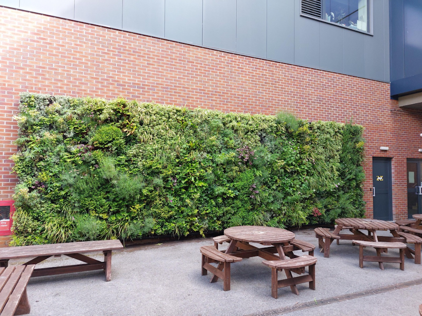 living wall at university of hull