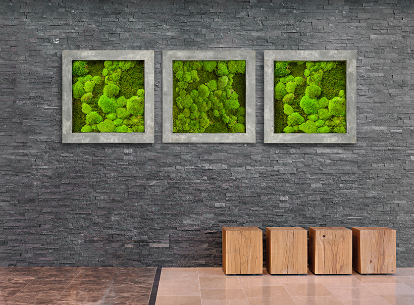 moss art in three gray picture frames