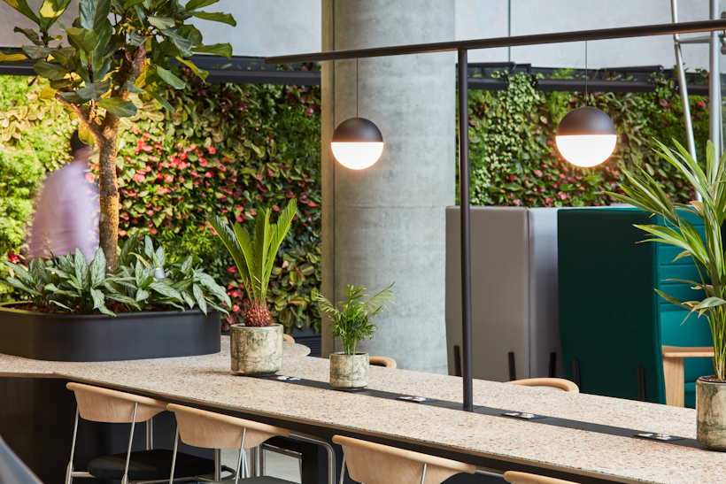 office living wall seating area