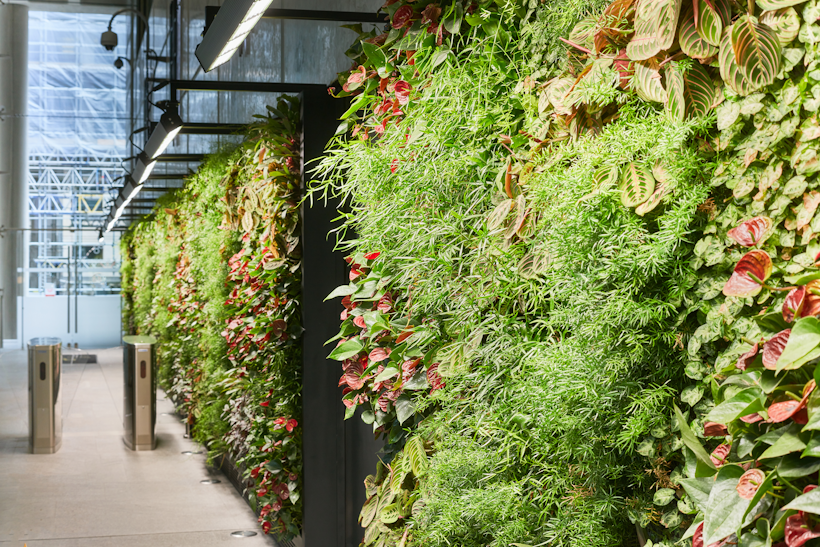 office living wall