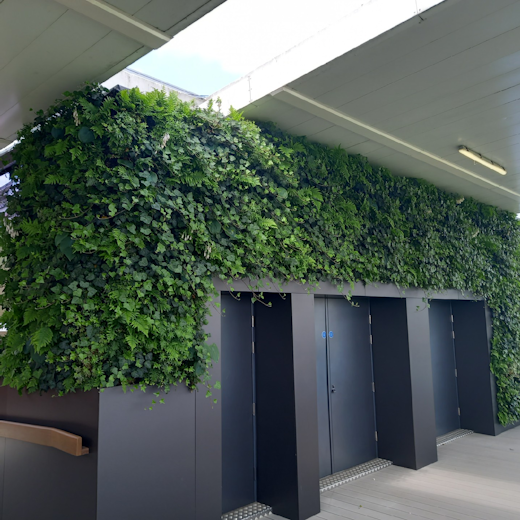 office living wall
