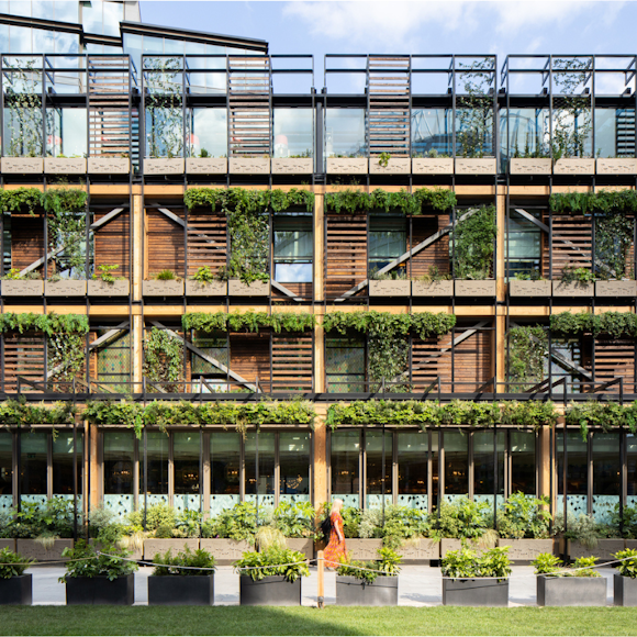 Why you shouldn’t rule a living wall out of your plans
