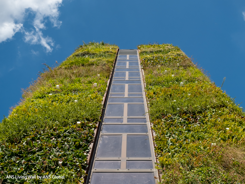 urban greening living walls