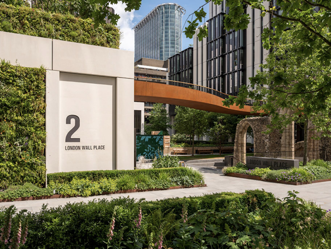 From grey to green: Transforming concrete jungles with urban greening