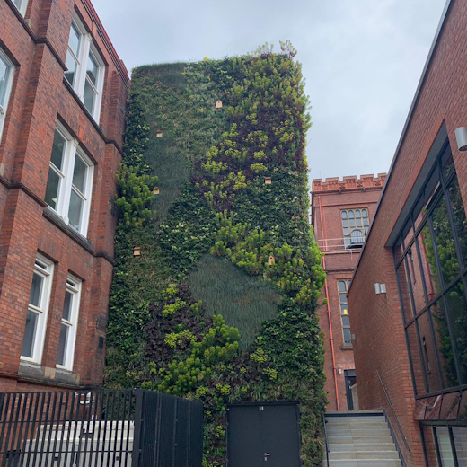 Exterior living wall