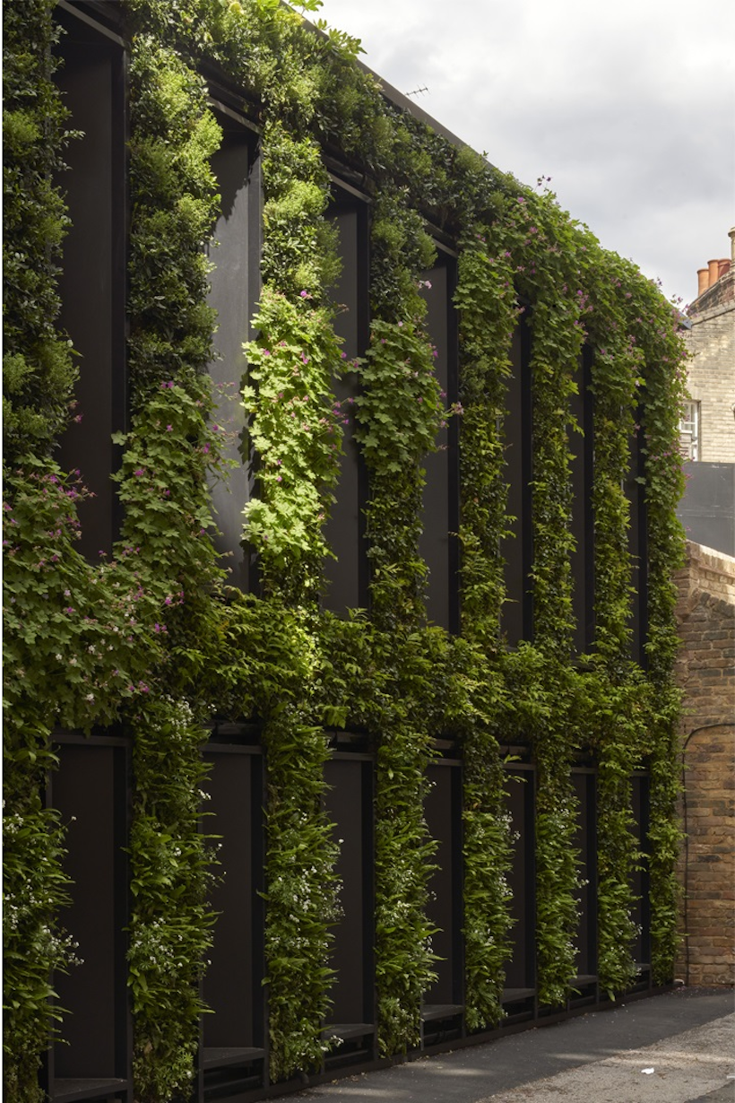 exterior living wall
