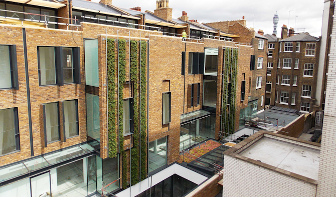 How Green Walls Can Combat Urban Pollution and Improve Public Health