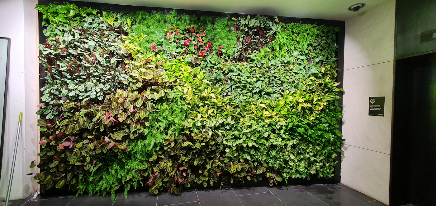 tropical internal living wall in a reception