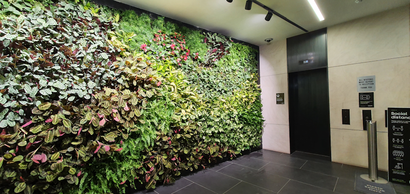tropical living wall in a reception area