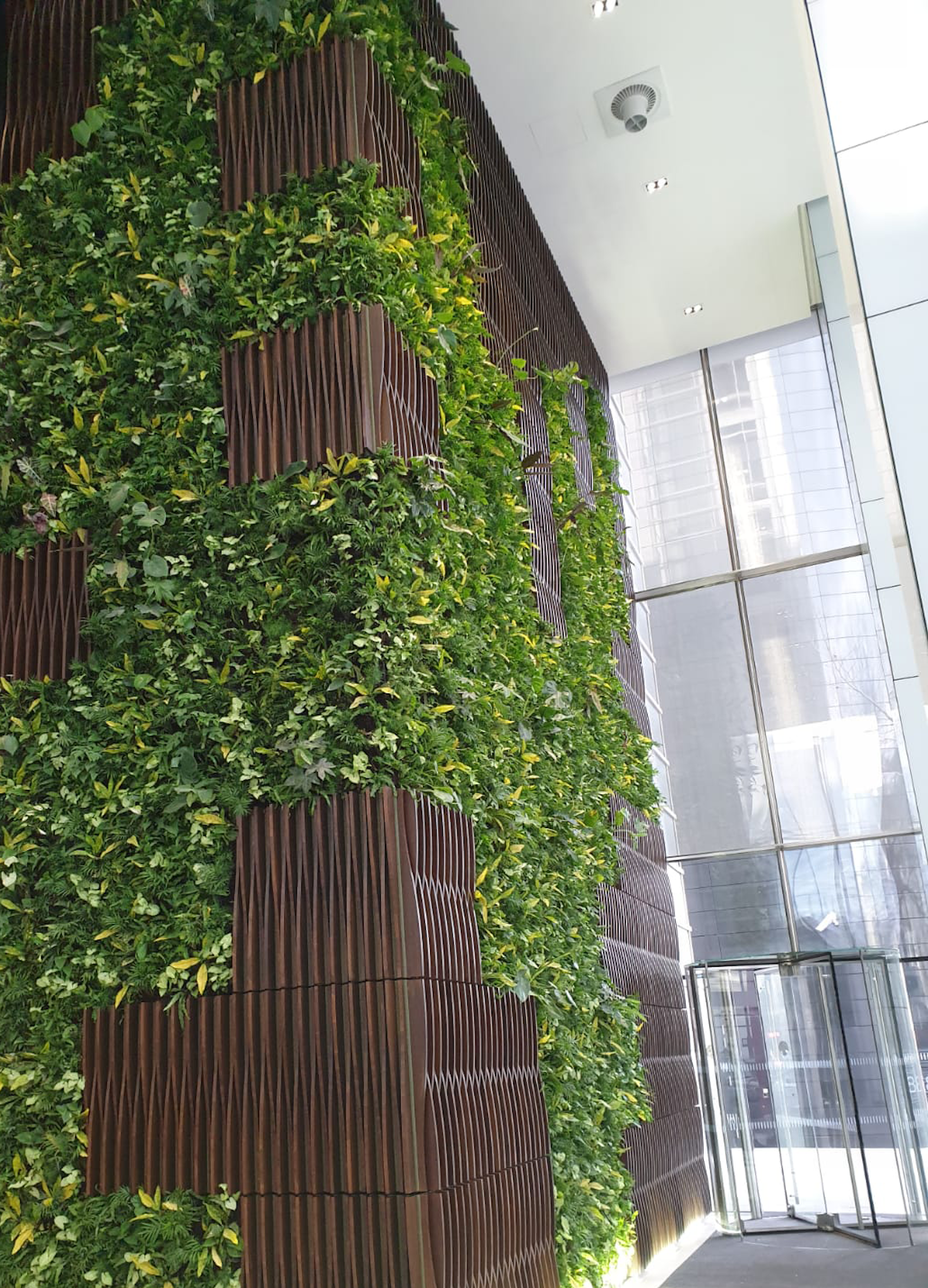 Full height of the Interior Living Wall