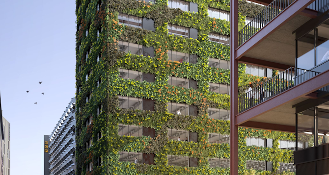 Delivering Europe’s largest living wall, in Manchester.