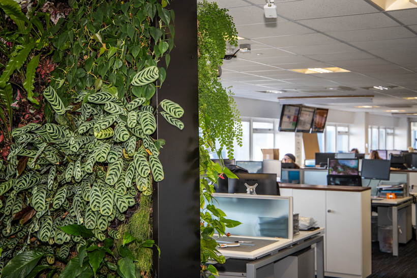 living wall in an office space