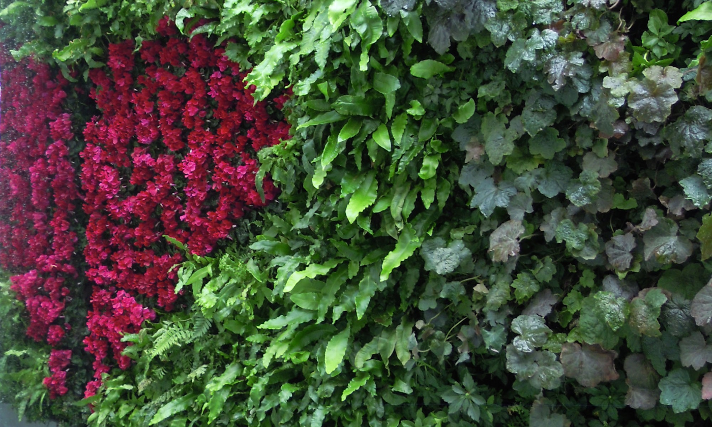 Love Heart Created With Flowers In A Living Wall