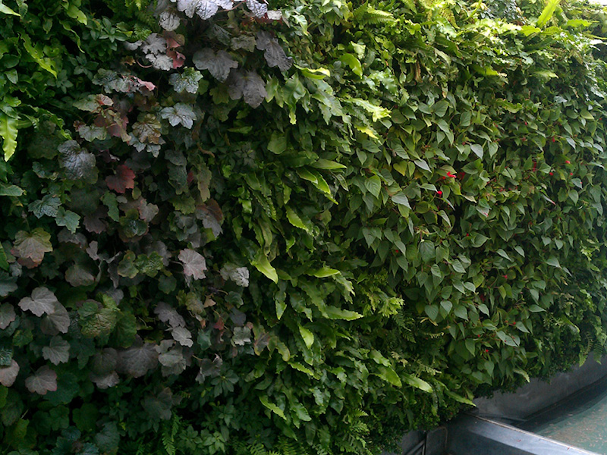 Living Wall Mirrored