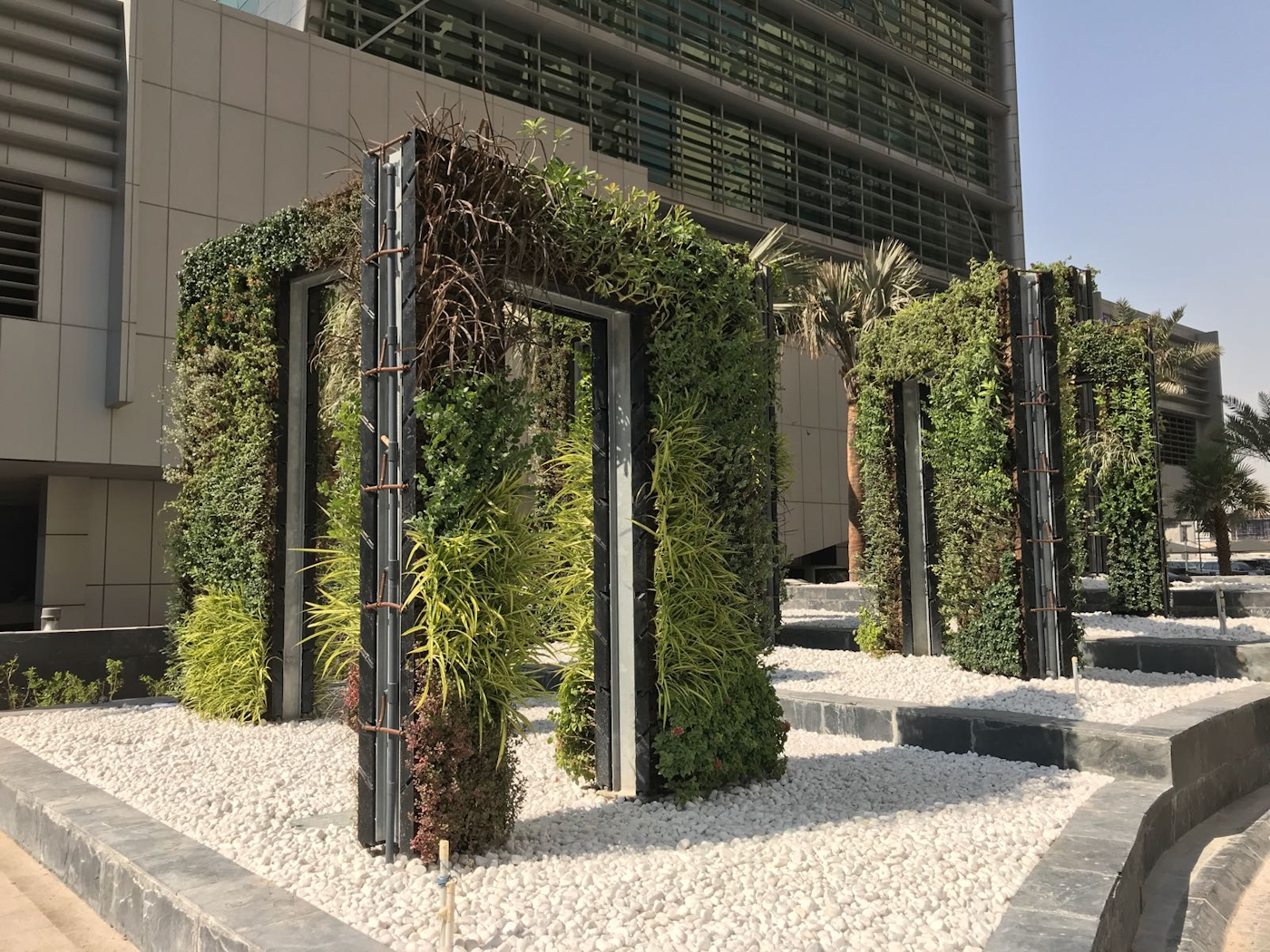 Living Walls Art Installation In Doha Qatar