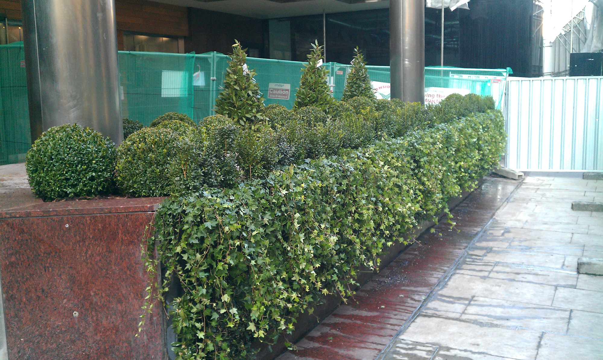Landscaping in London
