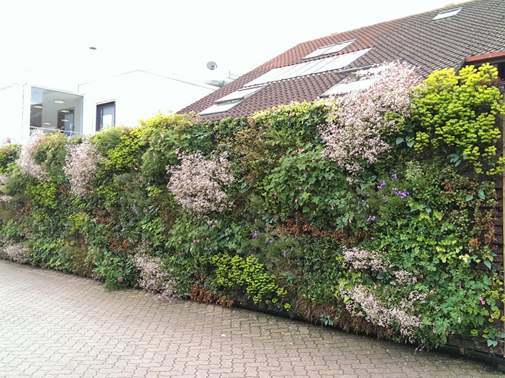 Flowering Living Wall for Air Purification