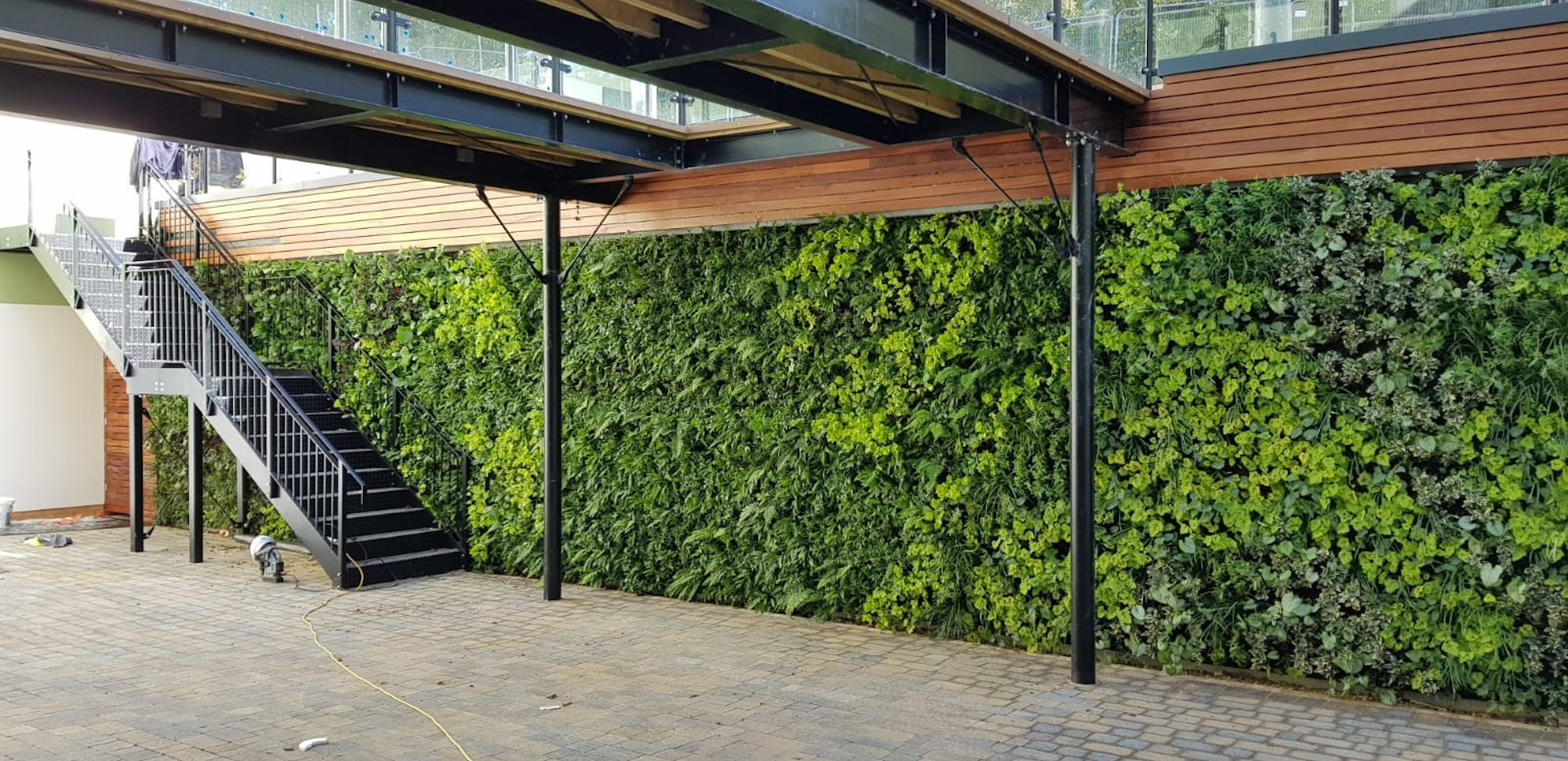 Living Wall in Courtyard with Staircase