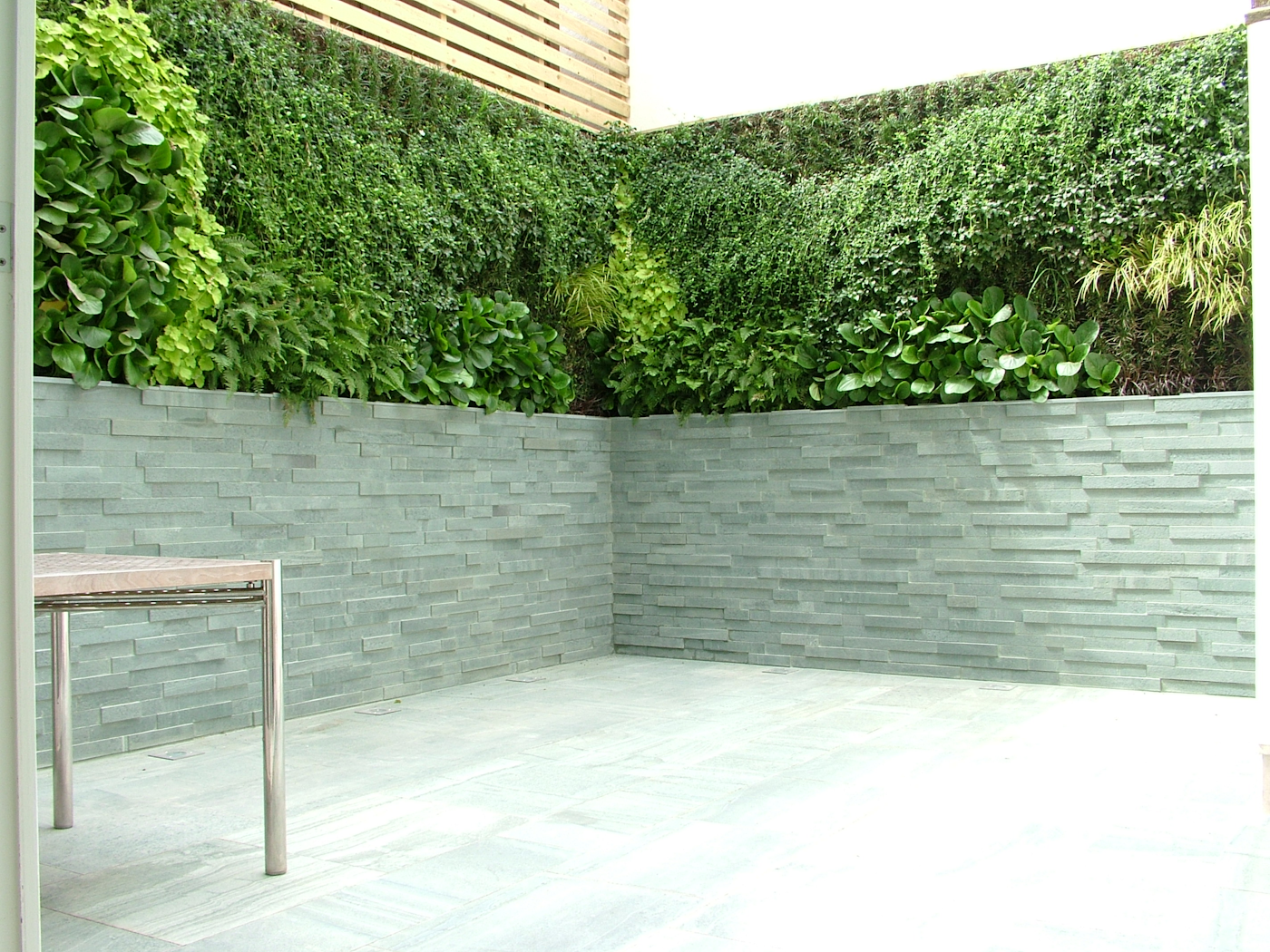 Living Wall In Patio Garden Area