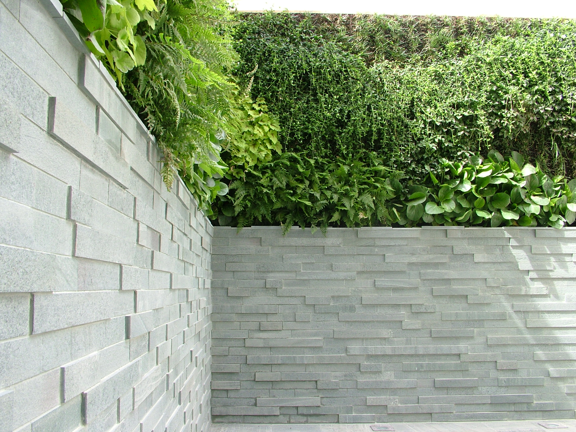 Vertical Garden Living Wall In Patio Area