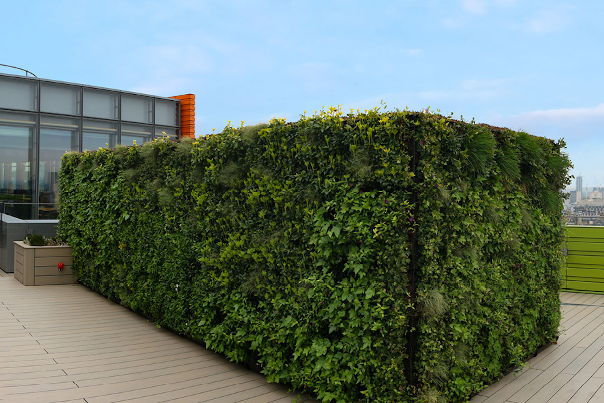Corner Living Wall On The Rooftop At Central Saint Giles