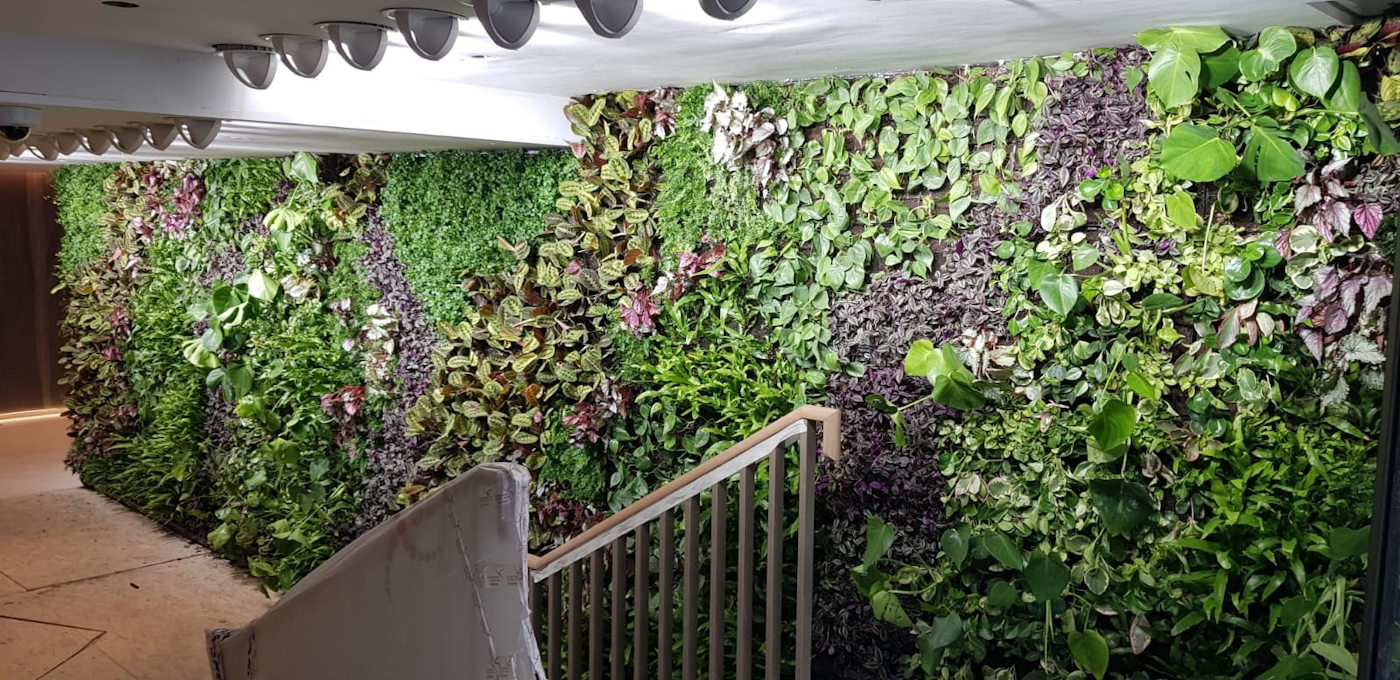 tropical l ush green living walls with a flight of stairs