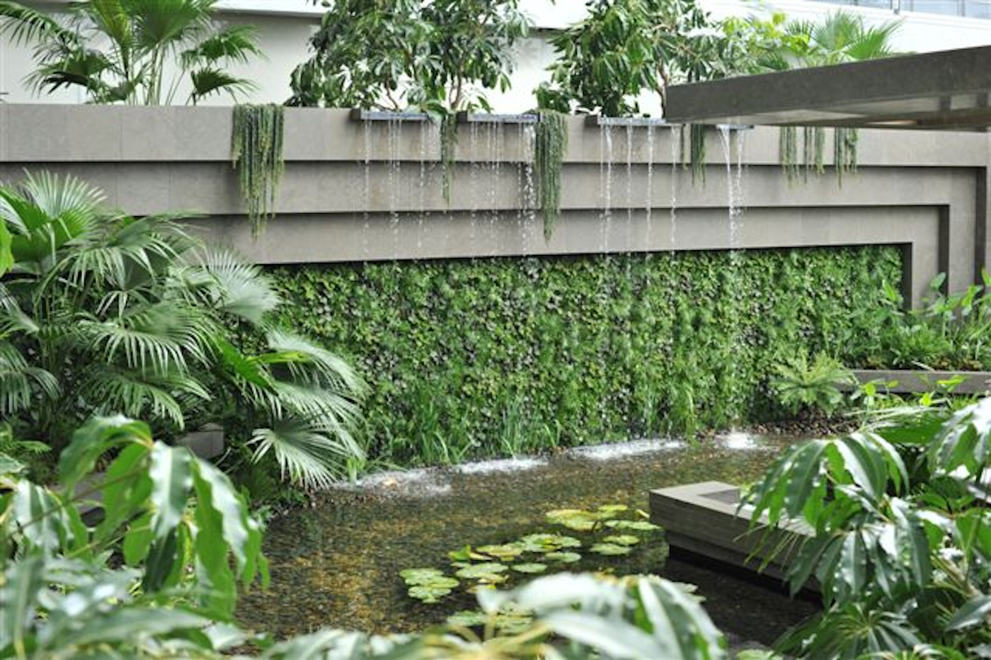 Livng Wall and Waterfall at Chelsea Flower Show