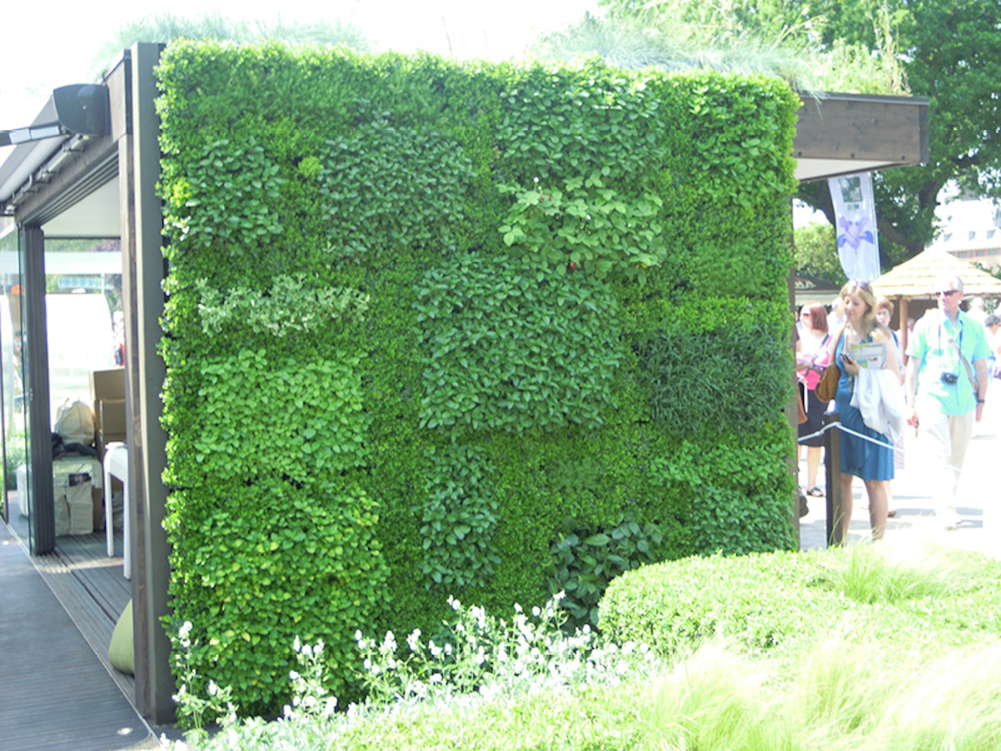 Living Wall at Chelsea Flower Show 2012